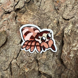 May include: A cartoon sticker of a pink and brown jumping spider with large eyes. The spider is on a brown tree bark background.