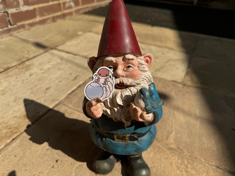 May include: A garden gnome with a red hat and blue clothing is holding a small blue orb with a cartoon creature inside. The gnome is also holding a blue bird in its other hand.