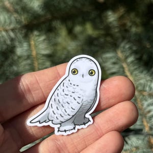 Pu&ograve; includere: Un adesivo con un gufo delle nevi bianco con occhi gialli. Il gufo &egrave; rivolto in avanti con le ali ripiegate. L'adesivo &egrave; sulla mano di una persona.