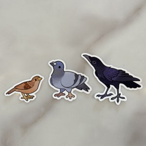 May include: Three bird stickers, a brown sparrow, a gray pigeon, and a black crow. The stickers are on a white background.