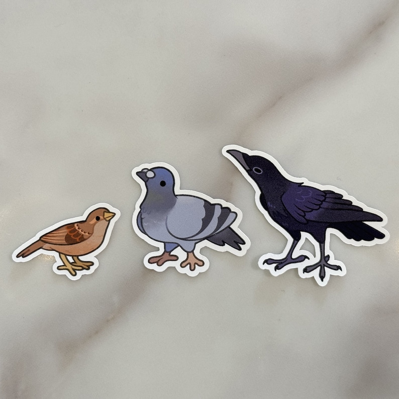 May include: Three bird stickers, a brown sparrow, a gray pigeon, and a black crow. The stickers are on a white background.