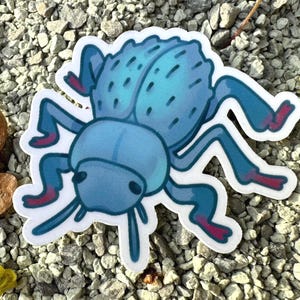 blue death feigning beetle stickers!! (BDFB, desert ironclad beetle)