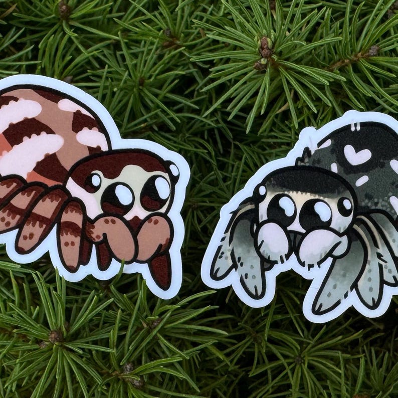 May include: Two cartoon spider stickers. One spider is brown and white with black stripes. The other spider is black and white with white spots.