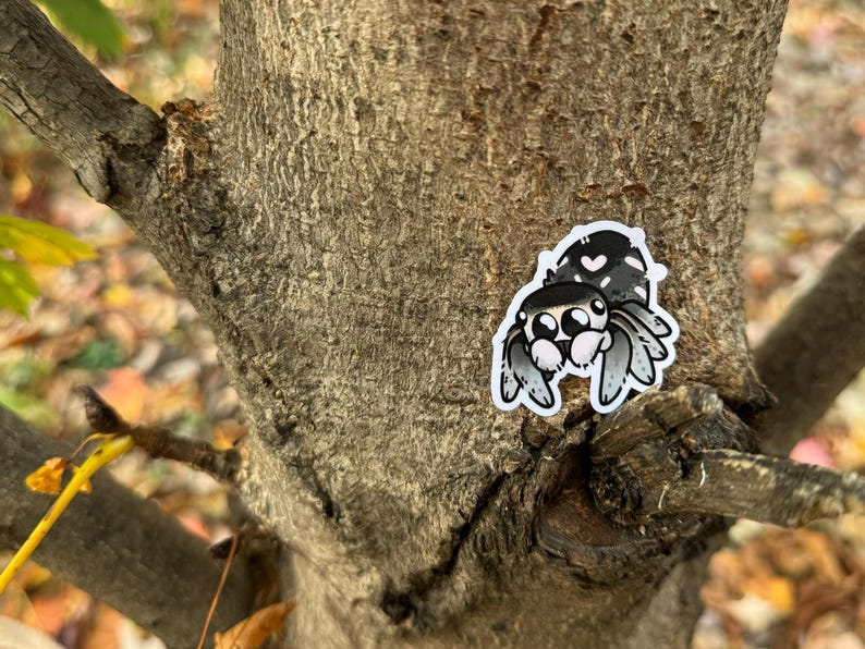 jumping spider stickers!! water resistant regal + zebra jumpers image 4