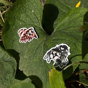 May include: Two cartoon jumping spider stickers on a green leaf. One spider is black and white with white spots. The other spider is pink and brown with black spots.