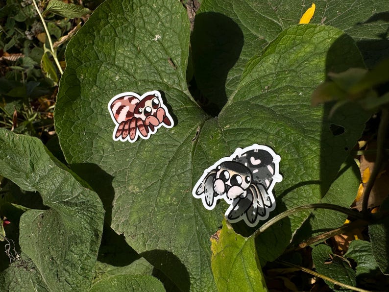 May include: Two cartoon jumping spider stickers on a green leaf. One spider is black and white with white spots. The other spider is pink and brown with black spots.