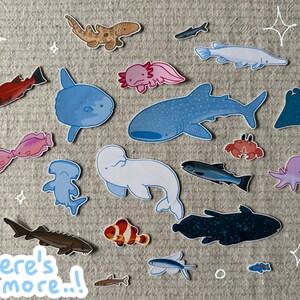 shark stickers! whale shark, hammerhead, epaulette + more image 10