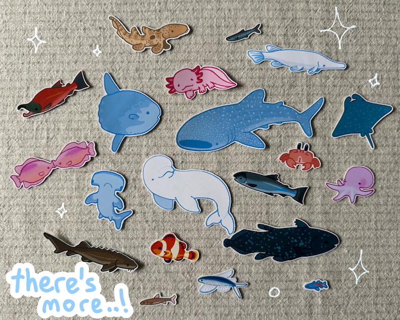 shark stickers! whale shark, hammerhead, epaulette + more image 10
