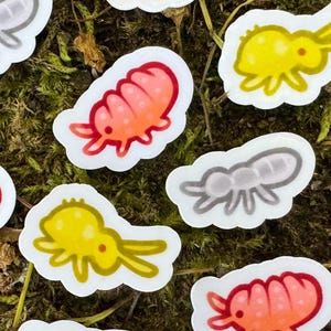 May include: A collection of colorful insect-themed stickers. The stickers feature various designs, including yellow, orange, and gray bugs with white outlines. The stickers are placed on a bed of green moss, creating a natural backdrop.