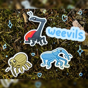 weevil stickers! acorn weevil, giraffe weevil + more