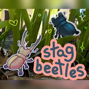 stag beetle stickers! cyclommatus + lesser stag