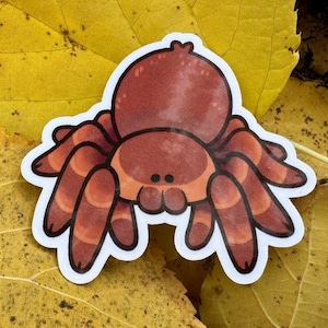 May include: A cartoon illustration of a brown spider with eight legs and a large, round body. The spider is drawn in a cute, friendly style with large, black eyes.