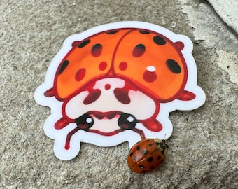 ladybug stickers!! water resistant lady beetle coccinellidae