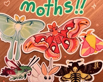moth stickers!! Luna, Atlas, Rosy Maple, Hummingbird + more