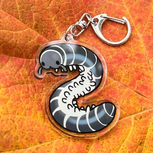 May include: A clear acrylic keyring featuring a cartoon illustration of a grey and white millipede curled into an S-shape. The millipede has a rounded head, multiple small legs, and a segmented body. It is attached to a silver metal split ring.