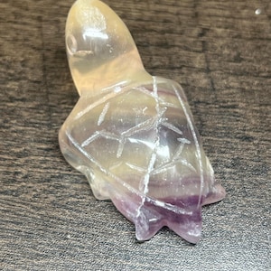 Fluorite Turtle