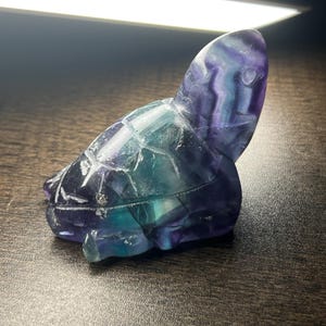 Fluorite Turtle