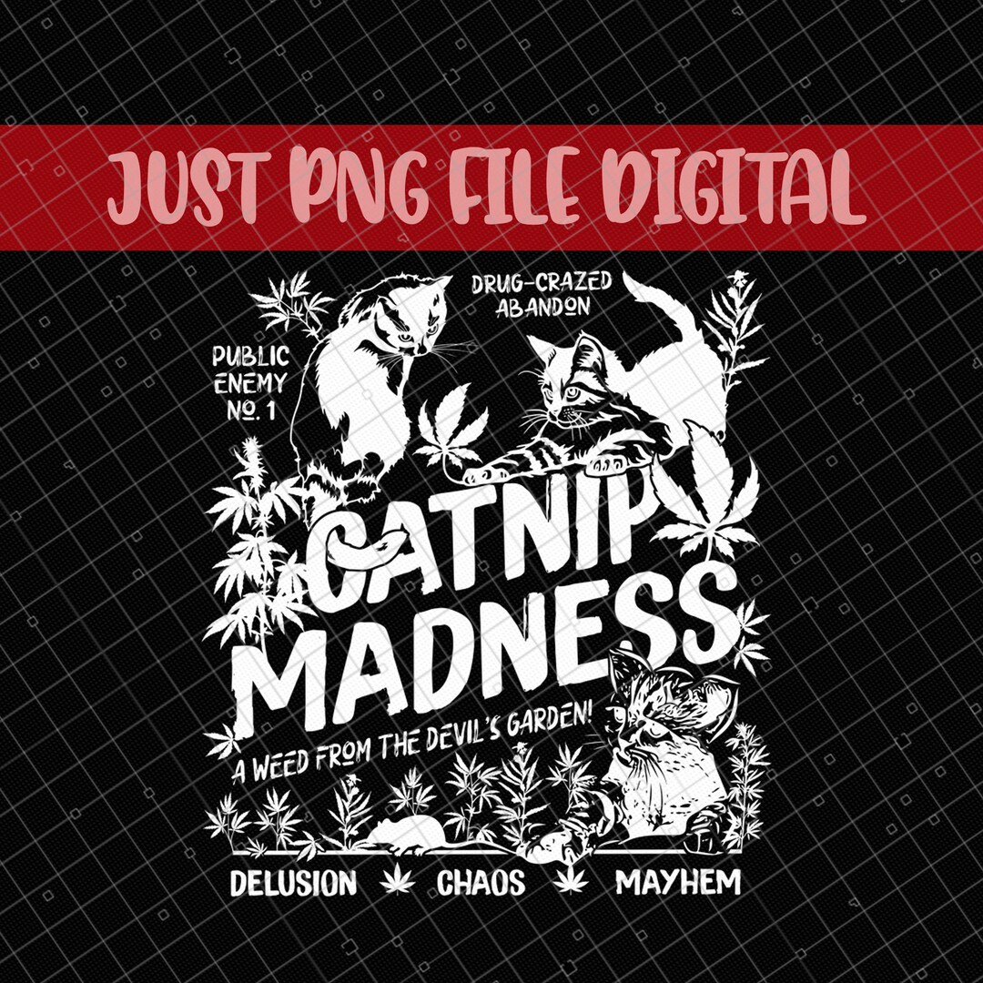 Catnip Madness PNG, Funny Cat Png, Cool Cat Png, Cute Kitten PNG, Cat ...
