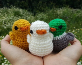 Canards en crochet