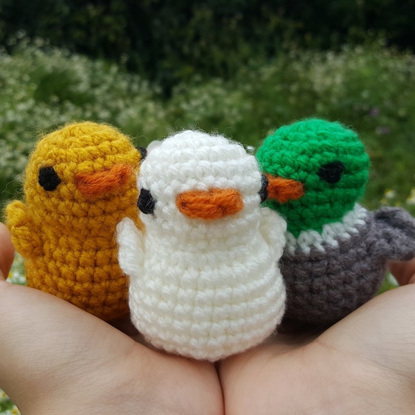 Canards en crochet