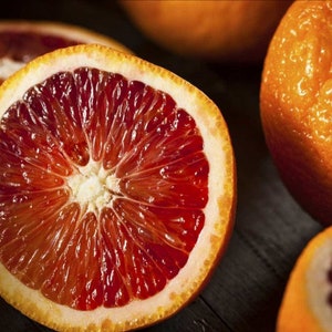 10 zaden Red Orange - Moro Orange - zoete en prachtig gekleurde citrusvruchten