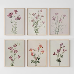 Vintage Botanical Print Set of 6: Farmhouse Prints, Floral Gallery Wall Art (Digital Download)