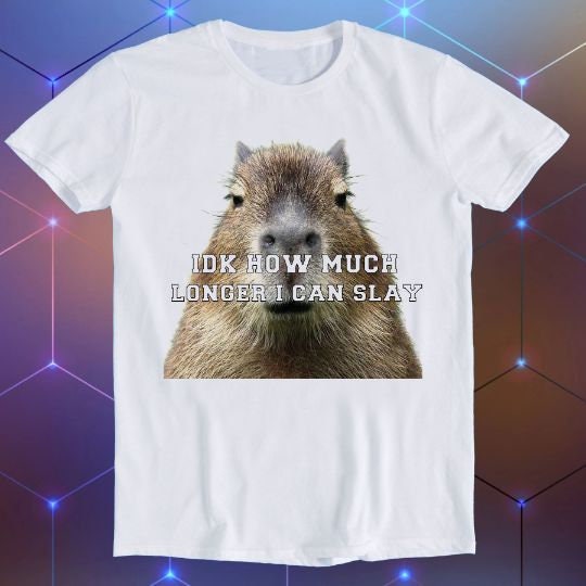 Idk How Much Longer I Can Slay Capybara Sarcastic Dank Meme Funny Gift T Shirt E945