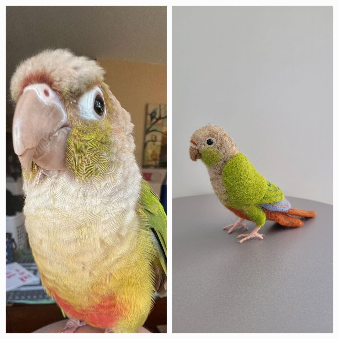 Needle Felted Wool Pineapple Parrot Green Parrot Conure - Etsy