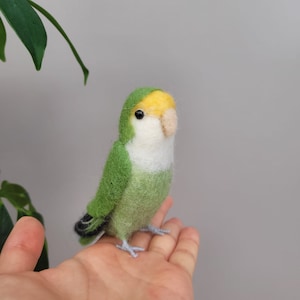 Personalisierte Nadel gefilzt lovebird, niedliche Tiere, Papagei, Geschenk für besonderen Tag, Geschenk-Box-Paket