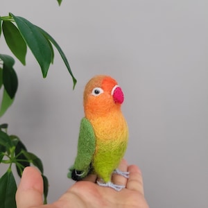 Personalisierte Nadel gefilzt Vogel, niedliche Tiere, Papagei, Geschenk für besonderen Tag, Geschenk-Box-Paket