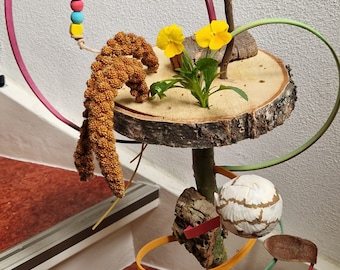 May include: A wooden bird toy with colorful rings, a woven ball, and a sprig of yellow flowers. The toy is designed to hang from the ceiling and provides entertainment for birds.