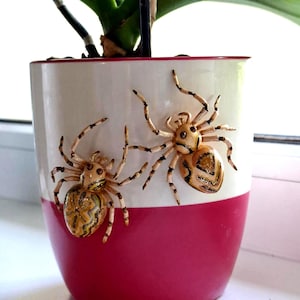 May include: A cylindrical ceramic plant pot featuring a two-tone design with a white upper section and a solid magenta lower section. Two three-dimensional, beige-coloured spider sculptures with dark brown markings are attached to the white exterior.