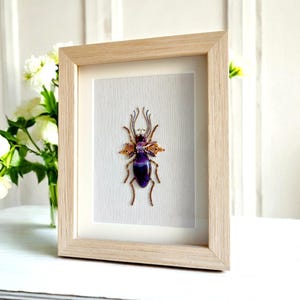 20 Insetti In Resina - Collezione Decorativa Con Campioni Reali | Fermacarte Artistico Per Scrivania - Foto 6