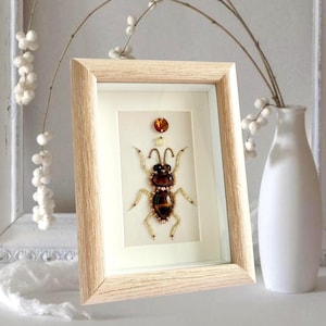 Beaded Bug Framed Artwork: Quirky Insect Decor