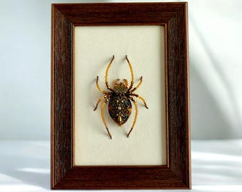 Framed Spider Wall Art, Witch House Decor,  Dark Academia Oddities, Gothic Accent