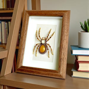 Decorazione murale 3D a forma di ragno incorniciata, arte cottagecore scura con perline, mini teca con insetti