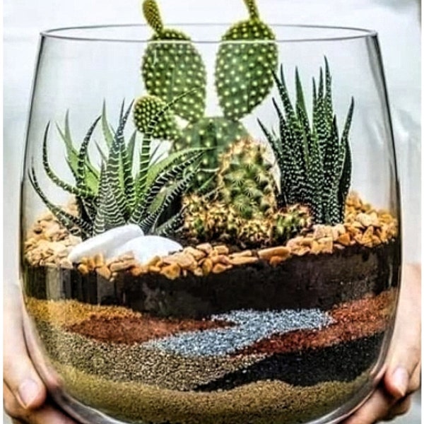 Terrarium Medium - Cactus