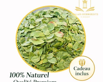 100% natuurlijke jujubebladeren (Sidr) – Premium kwaliteit – Herkomst: Marokko – Ziziphus Lotus