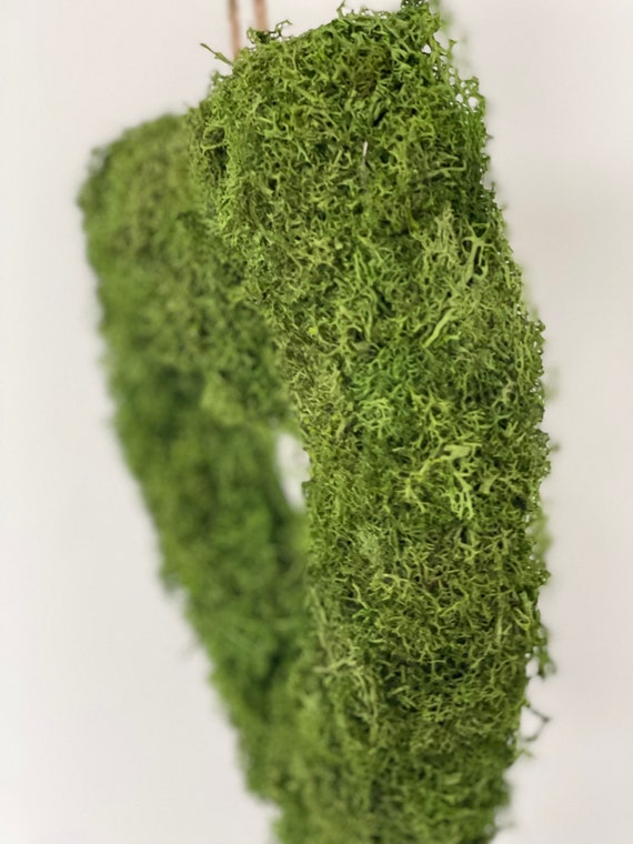 Herz Trockenmoos 30 cm Island Moos DIY Geschenk grün Hochzeit Muttertag