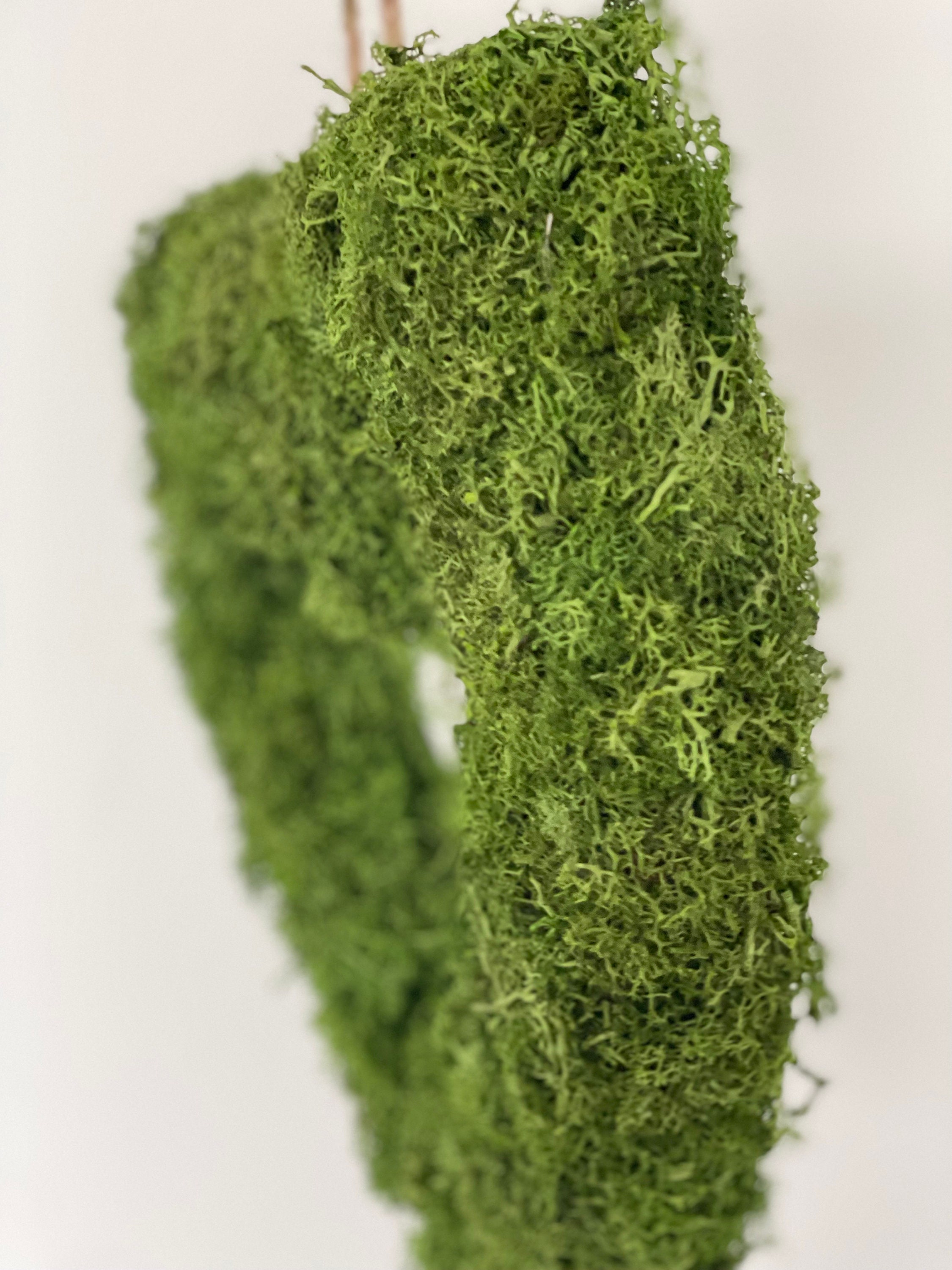 Herz Trockenmoos 30 cm Island Moos DIY Geschenk grün Hochzeit Muttertag