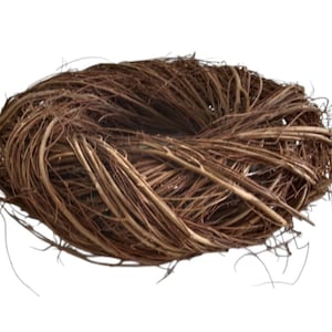 Può includere: Un nido d'uccello circolare costruito con sottili ramoscelli marroni intrecciati e fibre di vite naturali. La struttura presenta un centro cavo e un aspetto strutturato e stratificato creato dall'incrocio di molteplici steli legnosi.