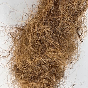 Può includere: Primo piano di un fascio di fibre di cocco marroni e secche. Le fibre sono strettamente compattate, con alcuni fili sciolti che si estendono verso l'esterno. La trama è ruvida e fibrosa, con variazioni di colore e spessore. La fibra di cocco sembra essere un materiale naturale.