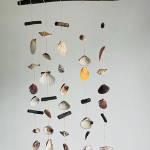 Gancio conchiglia carillon di vento disco conchiglia vintage decorazione naturale marittima boho fai da te artigianato mare