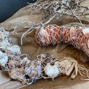 Decorazione conchiglia conchiglia Lambis Lambis XXL decorazione naturale vintage marittima boho biglietti da visita artigianali fai da te