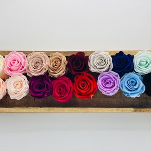 19 colors stabilized roses 5.5 cm infinity roses preserving roses durable dried flowers preserved dried flowers