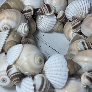 Schelpenmix krans 14 cm natuurlijke decoratie maritiem boho DIY knutselen zee
