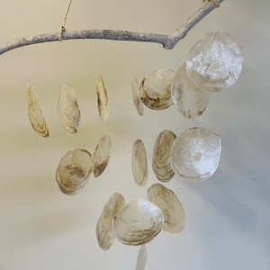 Appendiabiti conchiglia XXL Capiz disco conchiglia madreperla vintage decorazione naturale marittima boho fai da te artigianato mare