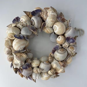 Peut inclure: Une couronne circulaire composée d'une variété de coquillages naturels dans des tons crème, beige, brun clair et gris. L'assemblage présente diverses formes de coquilles en spirale et de conques, agrémentées de petits fragments violets.