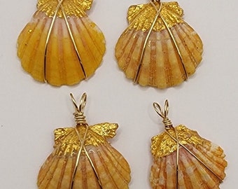 Wire Wrapped Sunrise Shells 24k Gold Gilding