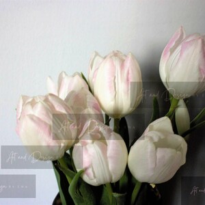 White Tulips Image - jpg. Home Download